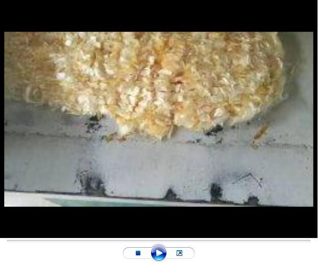 點擊查看詳細(xì)信息<br>標(biāo)題：聚丙烯腈纖維生產(chǎn)中【視頻】 閱讀次數(shù)：2841