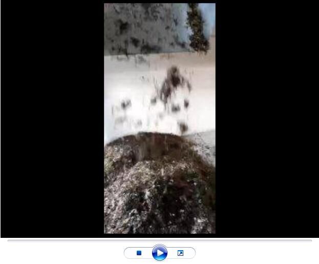 點擊查看詳細(xì)信息<br>標(biāo)題：玄武巖纖維生產(chǎn)中【視頻】 閱讀次數(shù)：2753